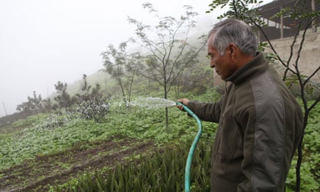 MDG : Peru : Fog nets in Lima 