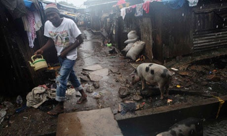 MDG : Sierra Leone cholera otbreak : pouring rain as pigs graze in slum of Susan's Bay in Freetown