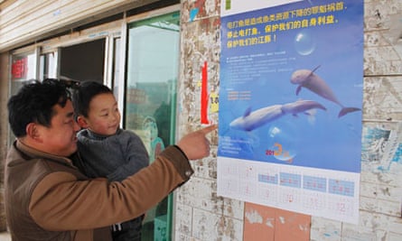 River fish species depletion due to electro-fishing featuring finless porpoises, Hunan province