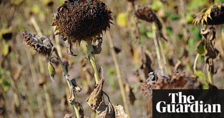 International business jobs International business jobs