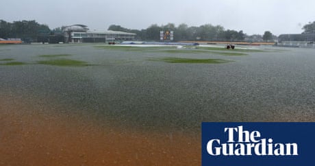 New grass could help tackle flooding, say scientists