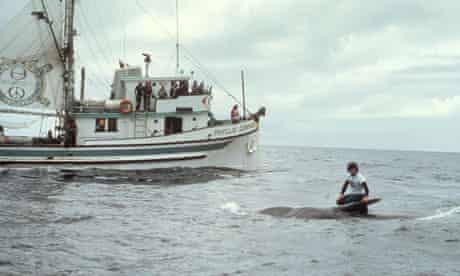 Greenpeace first anti whaling campaign : Phyllis Cormack ship and Paul Watson on Killed Whale