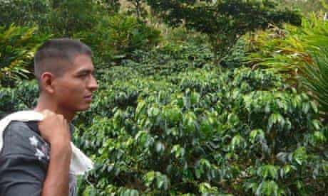 MDG : Mark Tran in Guatemala : Coffee grower Rolando Rax in Raxnam village