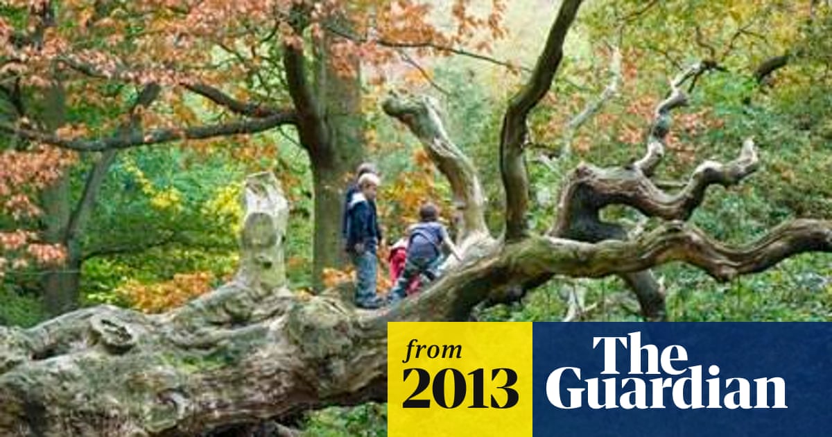Four Out Of Five Uk Children Not Connected To Nature Wildlife The Guardian Four Out Of Five Uk Children Not Connected To Nature Wildlife The Guardian