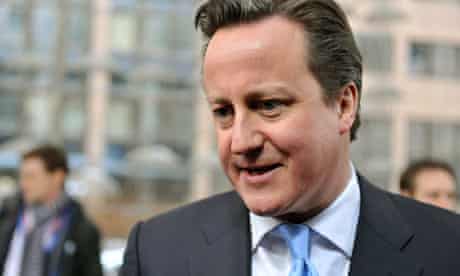 MDG : British Prime Minister David Cameron
