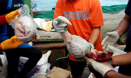 Philippine coast guard inspect frozen pangolins found in the Chinese cargo in Palawan island