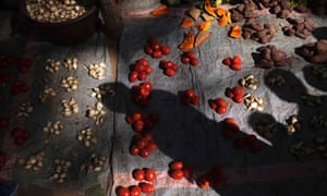 MDG : Food in Africa : tomatoes for sale in the central market in Diabaly, Mali