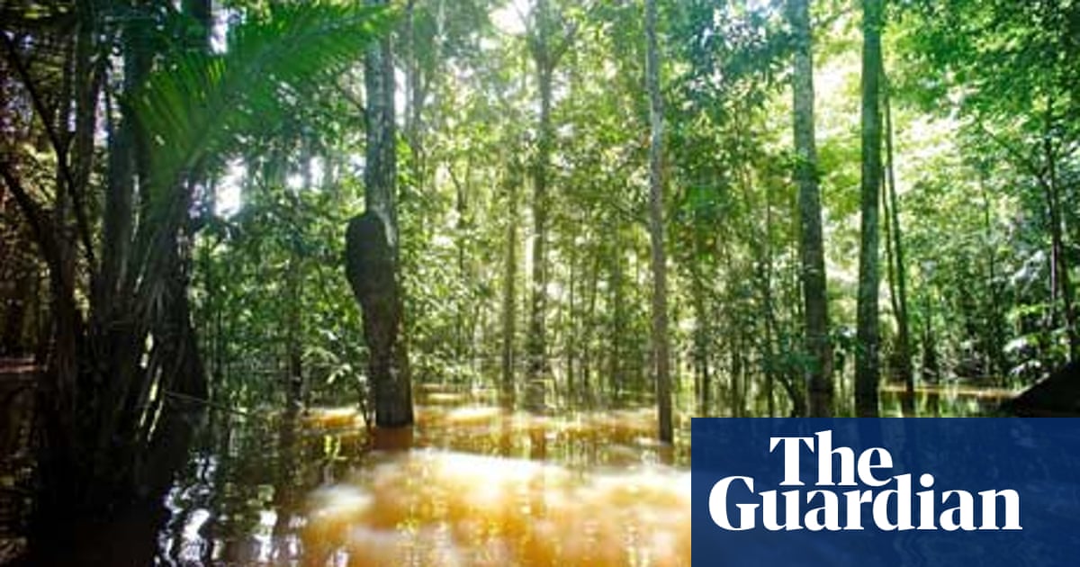 Peru Spares Amazon Rainforest From Oil And Gas Push David Hill Environment The Guardian