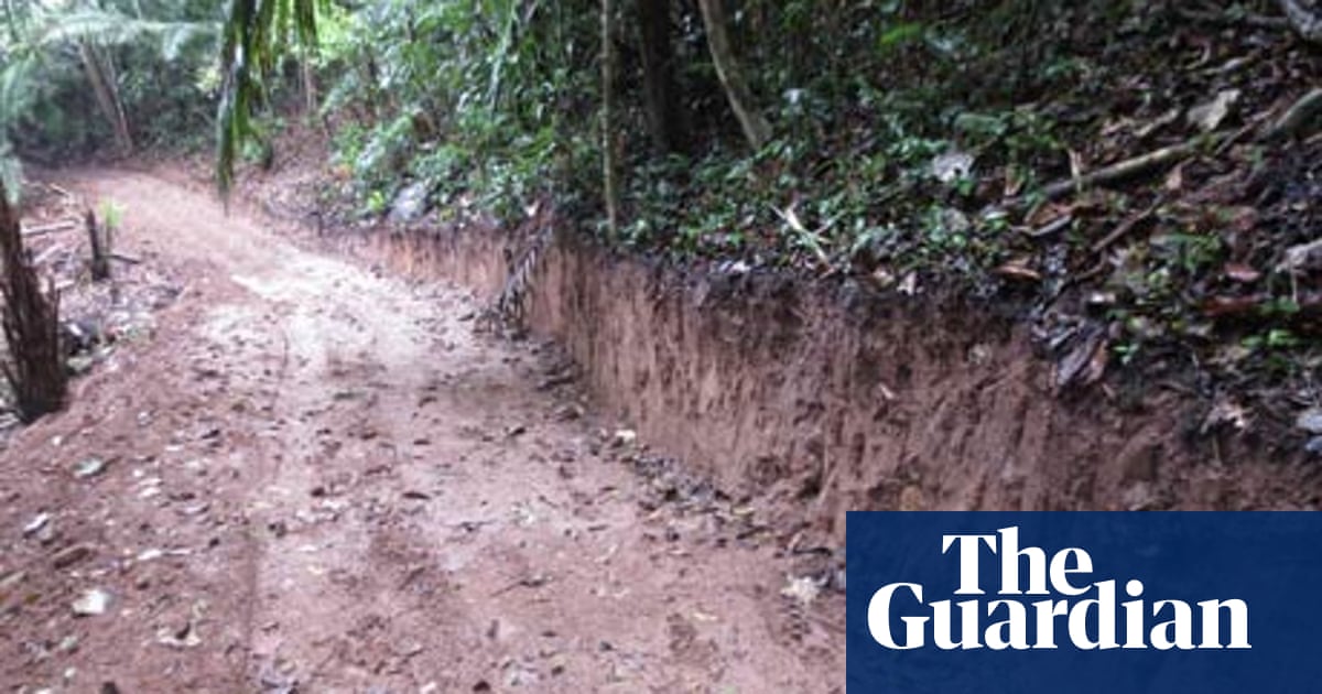 Peru Funded Illegal Amazon Rainforest Road Claims Global Witness Environment The Guardian