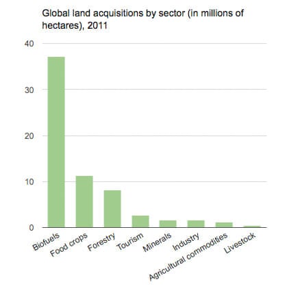 MDG land acquisitions graph