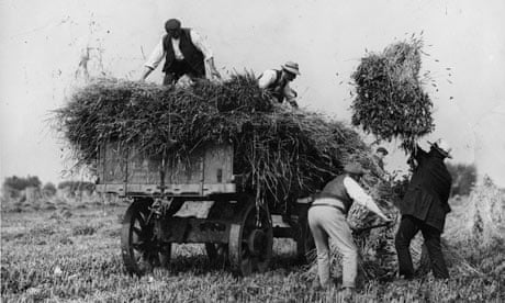 Farmers harvest corn at the Field of Dreams