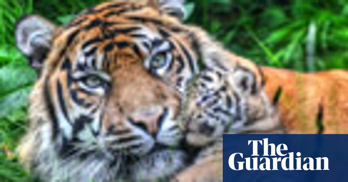 Top 10 mammals surviving with help from zoos - in pictures