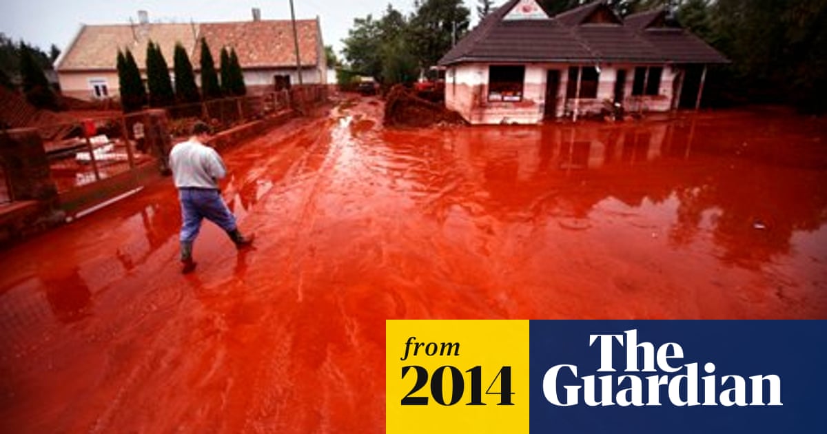How the Hungarian town flooded by red toxic sludge went green