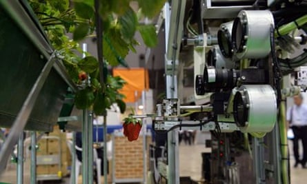 Robot in farming : robot to harvest strawberry