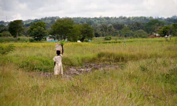 MDG farmer in Tanzania