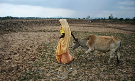 We cannot give a woman a cow and expect her to change the world  