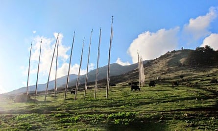 MDG fields near Ura village in Bhutan