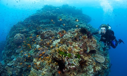 Sylvia Earle coral