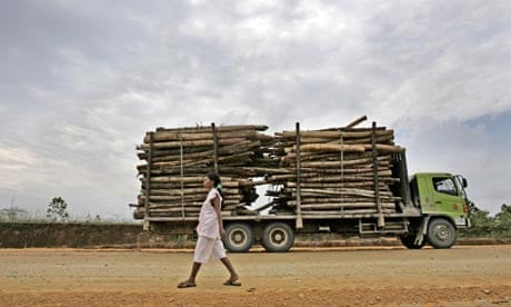 Logs being taken to a pulp and paper factory in Riau province, Sumatra