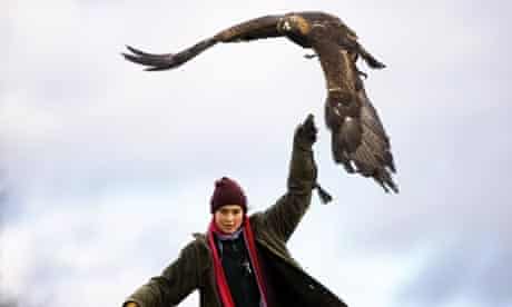 Methuselah, a golden eagle, learning to fly after 27 years in a cage