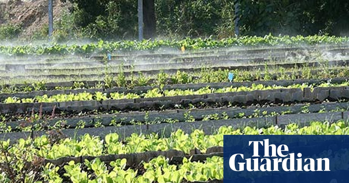 Cuba S Organic Revolution Environment The Guardian