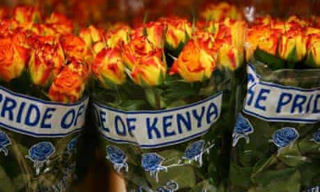 Cut flowers from Kenya