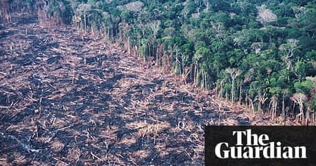 cut out h relate change How do to trees climate and forests cut out h relate change How do to trees climate and forests