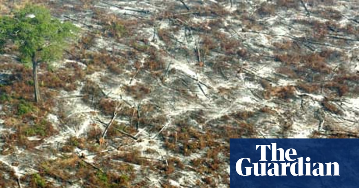 Amazon Facing New Threat Agent Orange Amazon Rainforest The Guardian Amazon Facing New Threat Agent Orange Amazon Rainforest The Guardian
