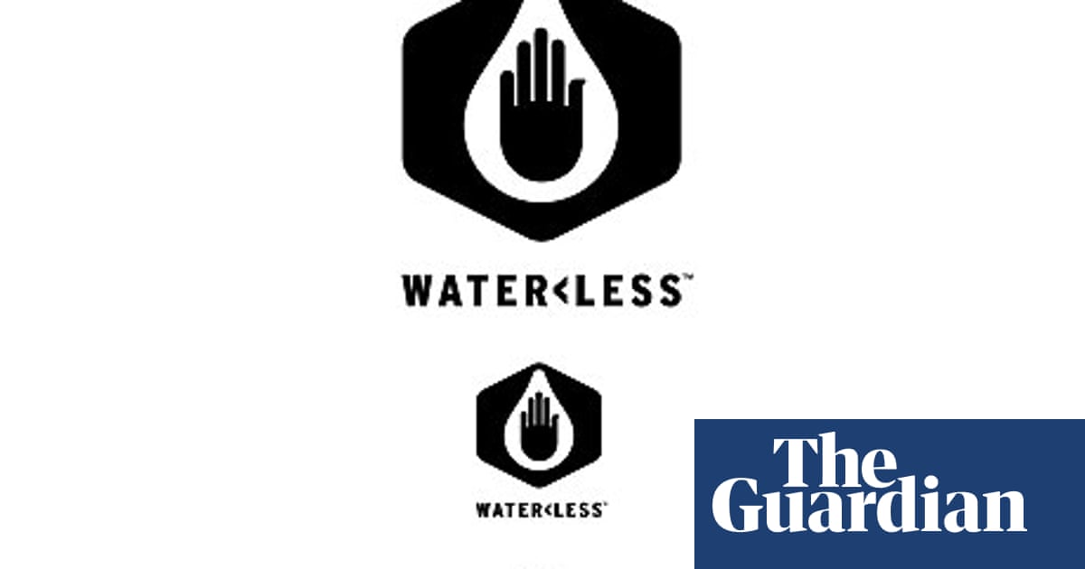 Levi Strauss & Co - the Levi style with a lot less water | Guardian  sustainable business | The Guardian