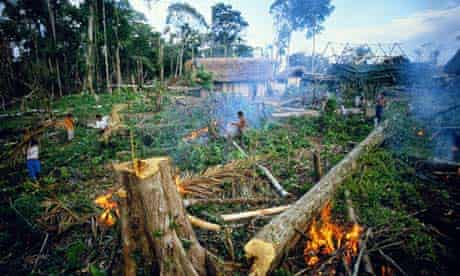 La industria palmera guatemalteca deja a lugareños contemplando un futuro incierto | Global development | The Guardian