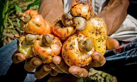 tu manh dat suy thoai o lang dorbor ghana nhin ra the gioi