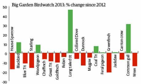 Big Garden Birdwatch 2013