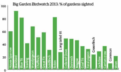Big Garden Birdwatch 2013