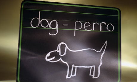 Spanish Lesson on Chalkboard dog