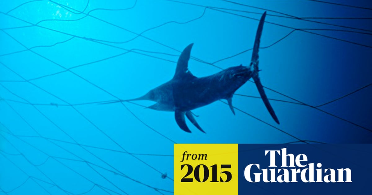 Department of land and natural resources hawaii aquarium fish Department of land and natural resources hawaii aquarium fish