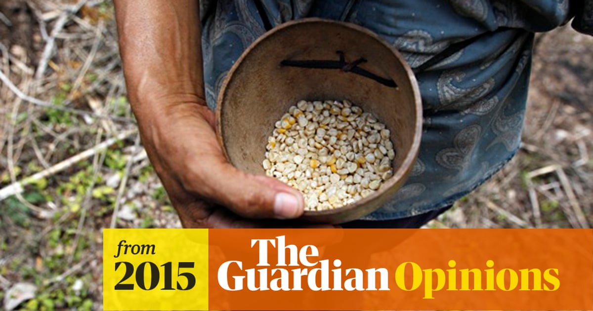 Why Are There Still So Many Hungry People In The World Hilal Elver Global Development The Guardian