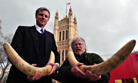 Zac Goldsmith and Bill Oddie destroy ivory tusk in London