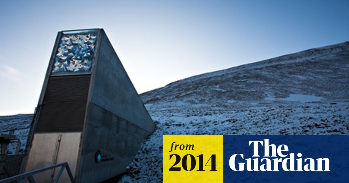 Brazilian Beans And Japanese Barley Shipped To Svalbard Seed Vault Conservation The Guardian Brazilian Beans And Japanese Barley Shipped To Svalbard Seed Vault Conservation The Guardian