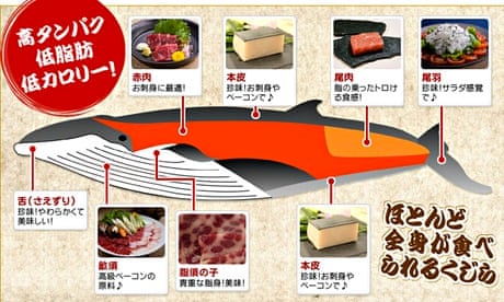 Japanese online shopping company offers whale meat to buy