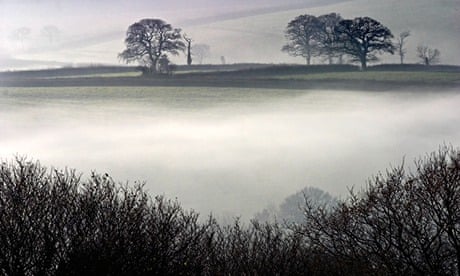 Country Diary : Morning mist beneath Norden Hill, Dorset