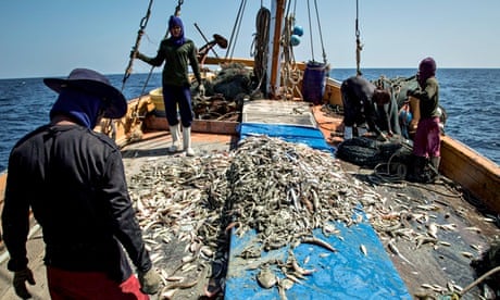 MDG : Human rights abuses in Thai fisheries, Thailand