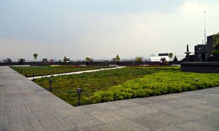 MDG : Roof garden in Mexico city : Azotea verde on Mexico City environment secretariat
