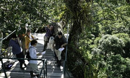 researchers stand in a tree platform in Yasuni National Park, Orellana province, Ecuador