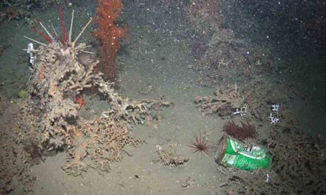 HERMIONE Project : seafloor pollution