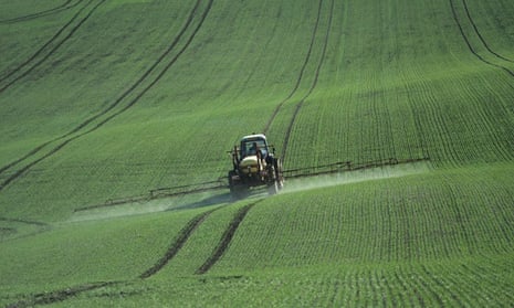 Pesticide residues in bread : Tractor spraying a young wheat crop in autumn