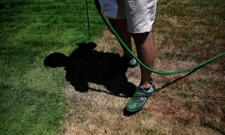 Grass Painting Company Profits From California Drought