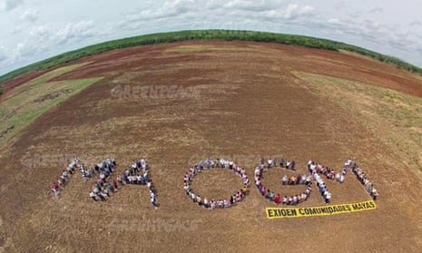 MDG : Monsanto GM soya impact on honey bees protest in Yucatan Peninsula in mexico
