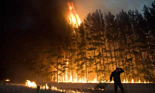 Forest fire near Dolginino, Russia