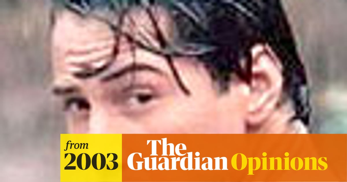 Dumb Beau Movies The Guardian Dumb Beau Movies The Guardian