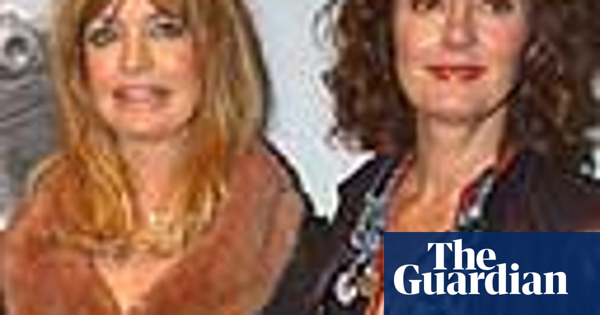 Interview Susan Sarandon And Goldie Hawn Politics The Guardian
